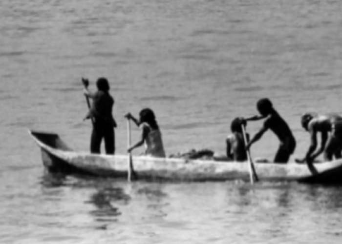 Viajando na canoa do tempo: a língua