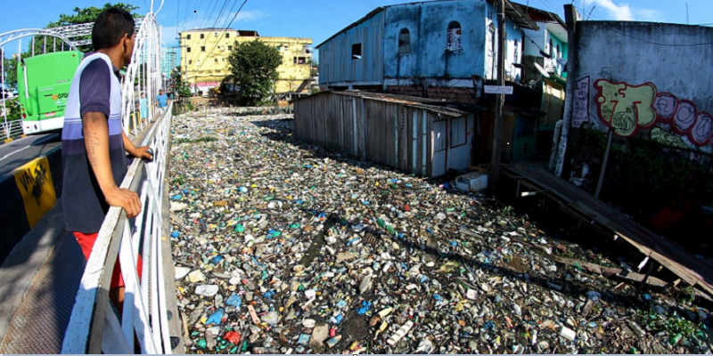 Desculpas manauaras: a questão ambiental