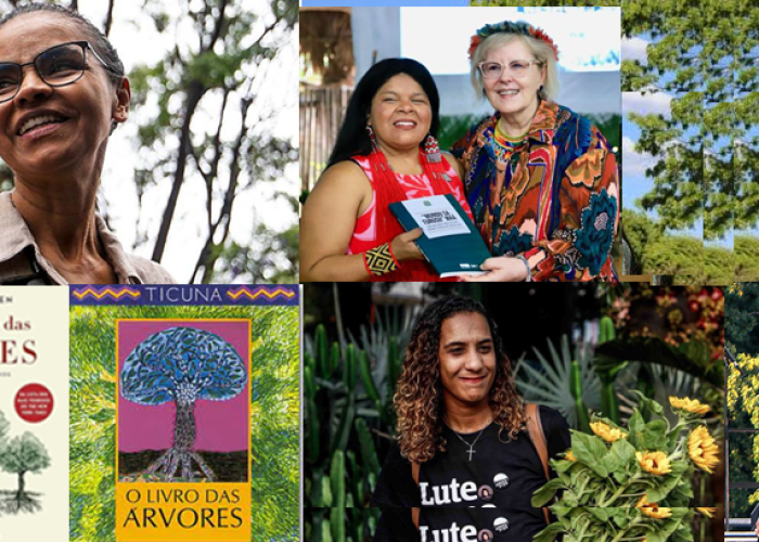 A festa do amigo oculto: árvores e livros