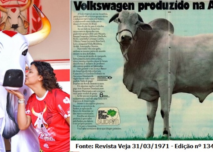 Amazônia: o boi-bumbá e o zebu da Volkswagen