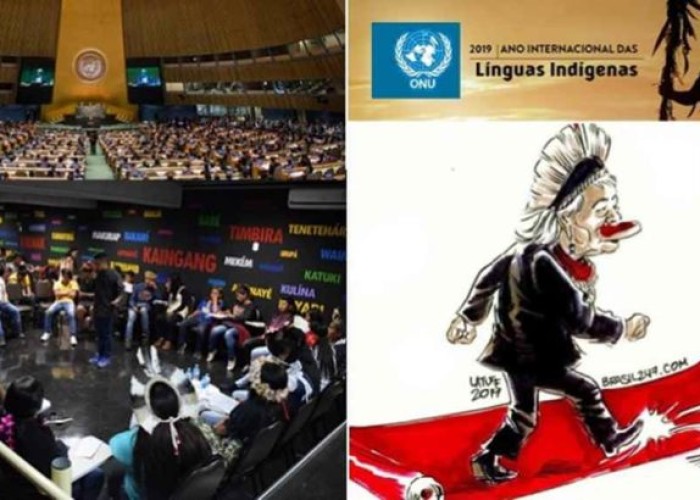 Na ONU, Ele não: museus e línguas indígenas